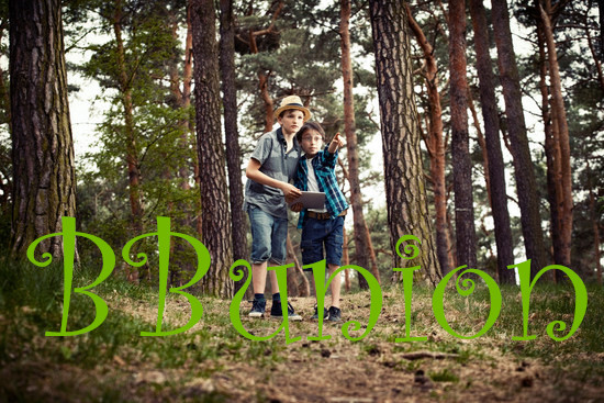 寻宝探险比赛 寻宝探险比赛